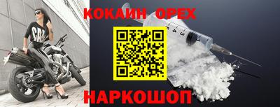 шишки Кингисепп