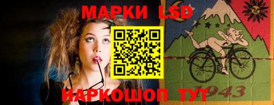шишки Кингисепп