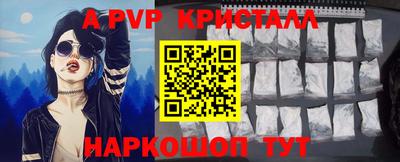 шишки Кингисепп