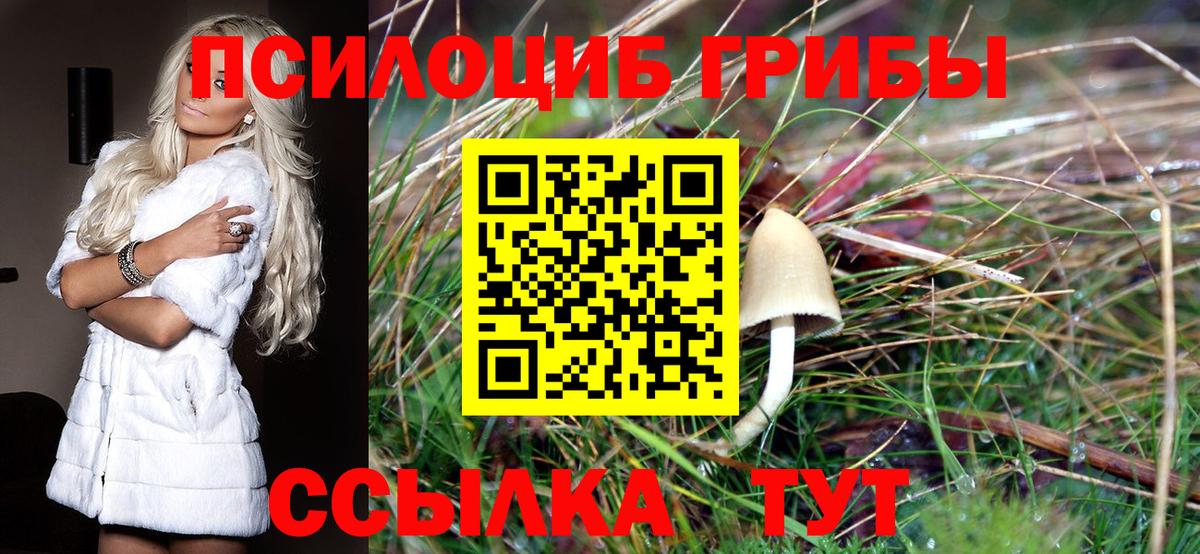 как найти наркотики  Галлюциногенные грибы Psilocybine cubensis  Вход с VPN  Конаково 